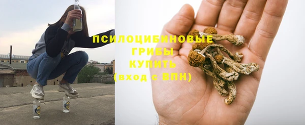 прущая мука Осинники