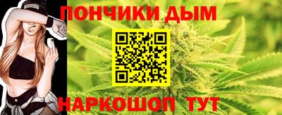 ешки Гай