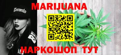 крисы Гатчина
