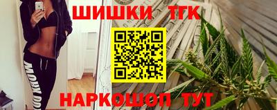 крисы Гатчина