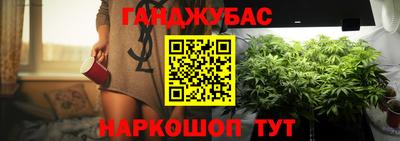 крисы Гатчина