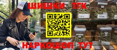 крисы Гатчина