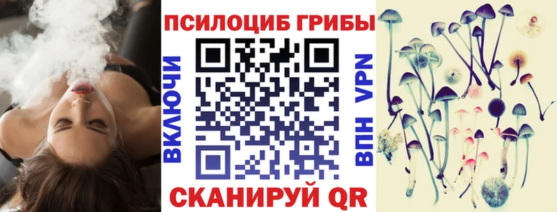даркнет формула  Лениногорск  Галлюциногенные грибы Cubensis 