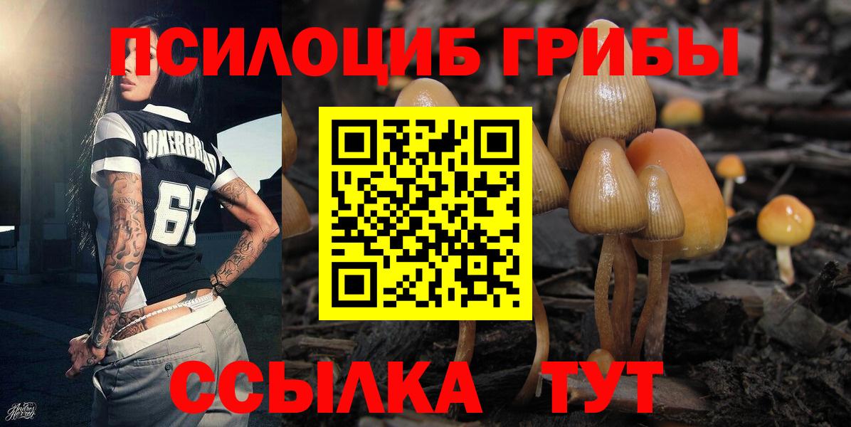 Лениногорск  Псилоцибиновые грибы прущие грибы  Вход с VPN 